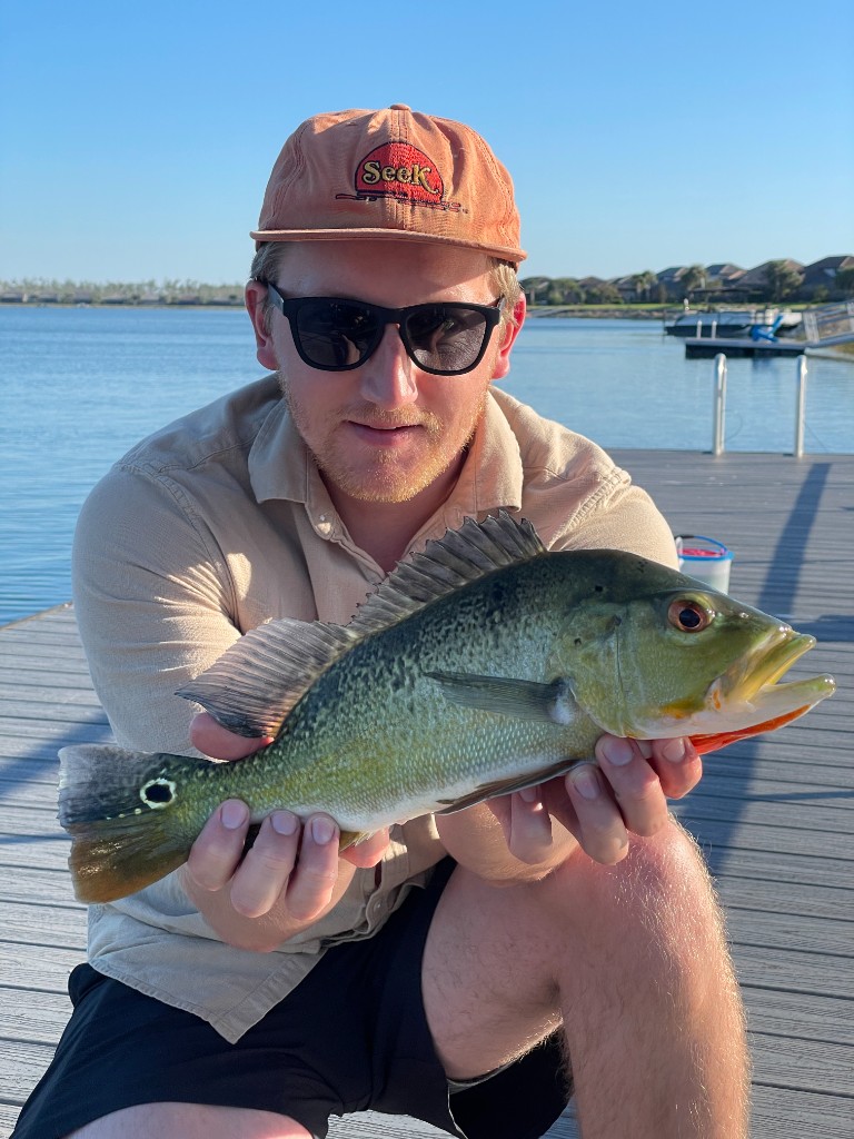 Angler with a peacock bass on a dock