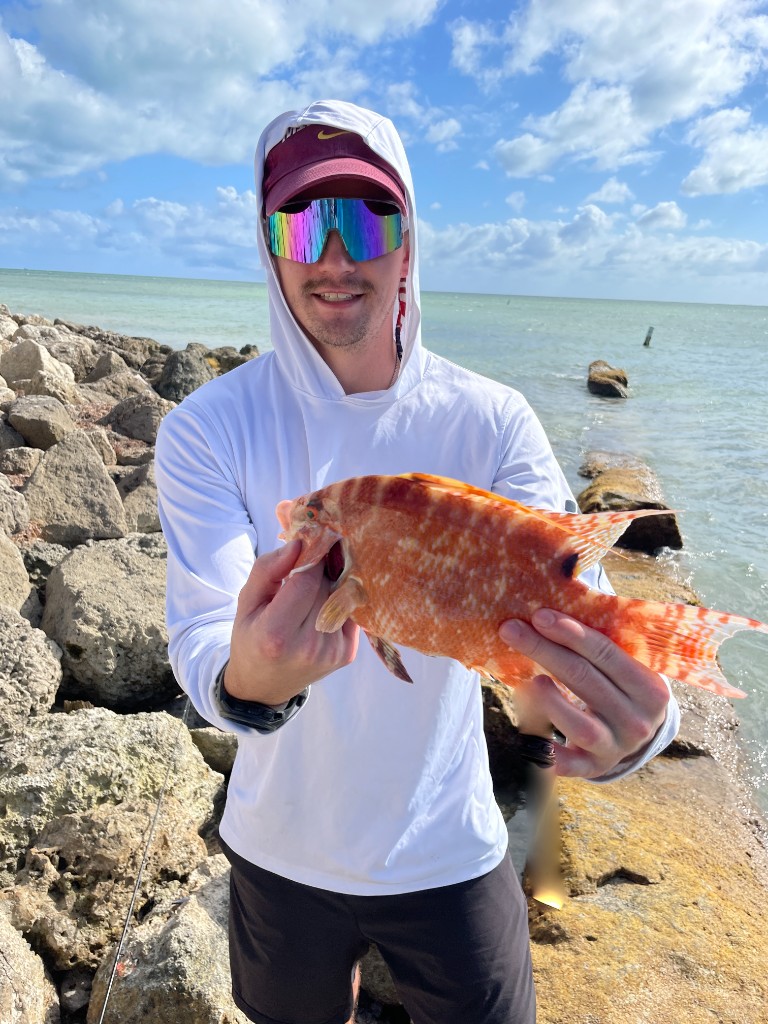 Angler with a hogfish on a rocky jetty