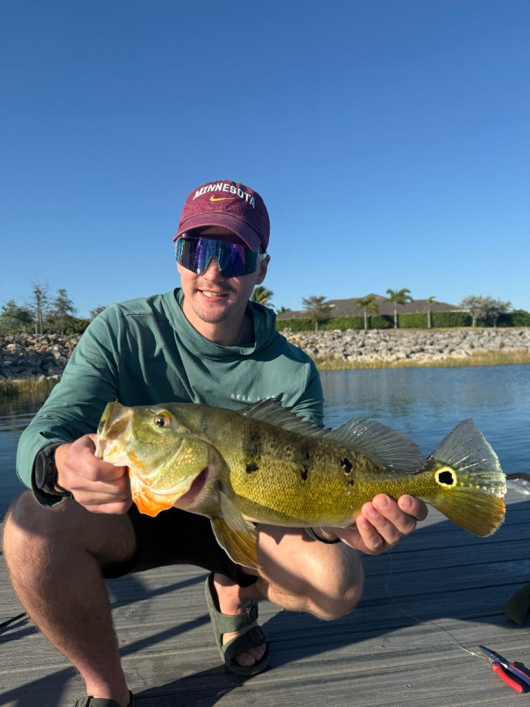 Angler with a peacock bass on a dock